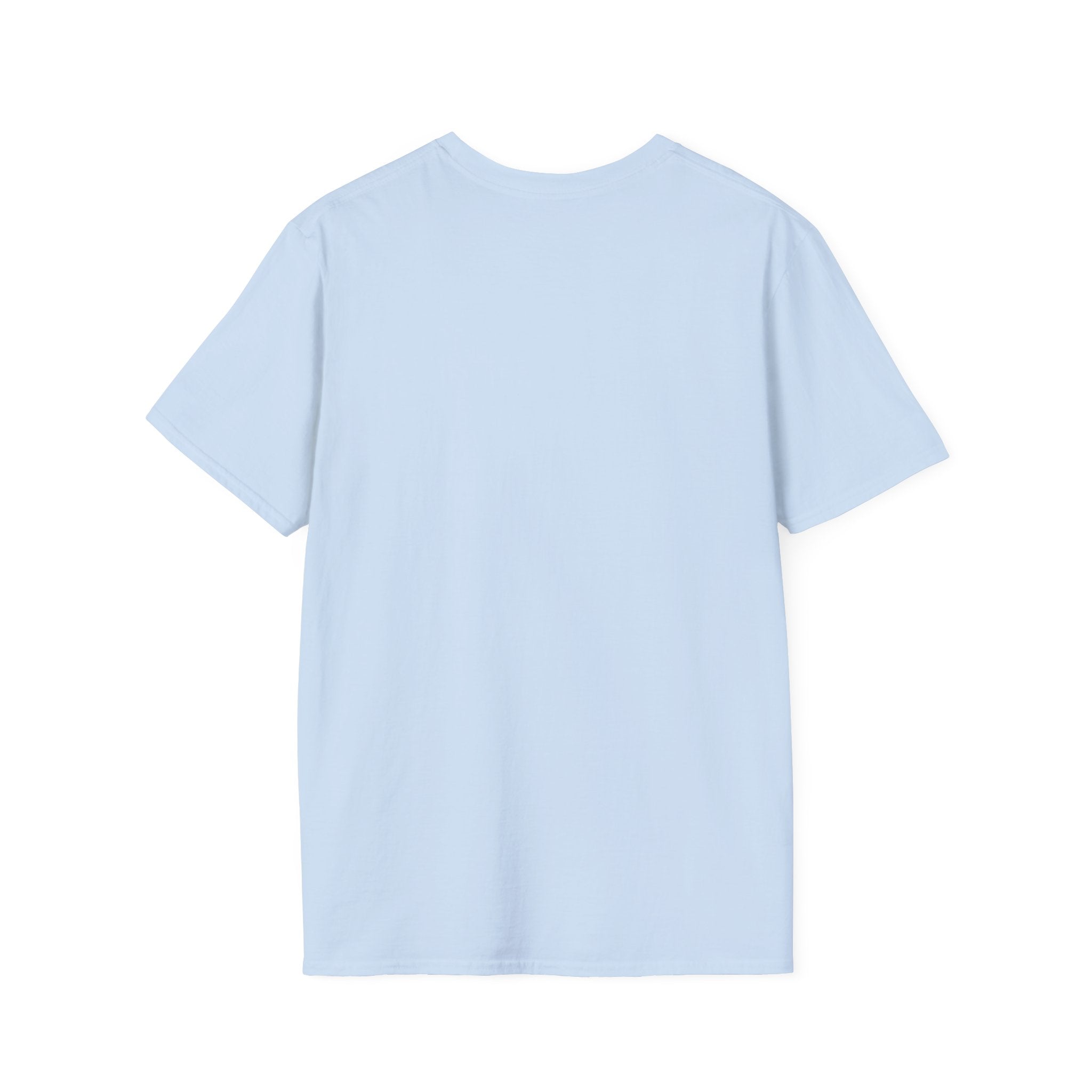 Delulu & Successful Tee By The Anthurium Pink Pony Club
